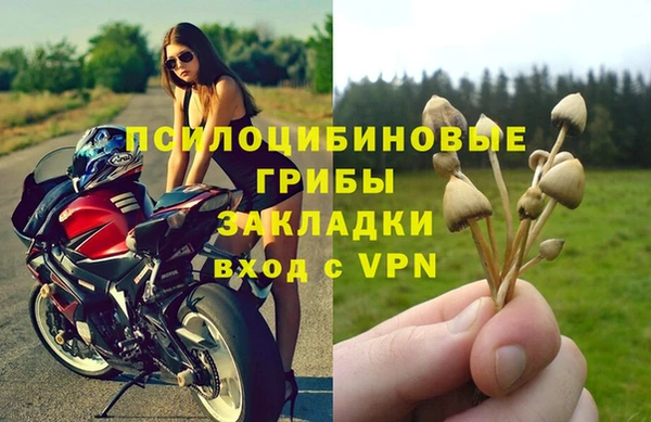 гашик Абдулино